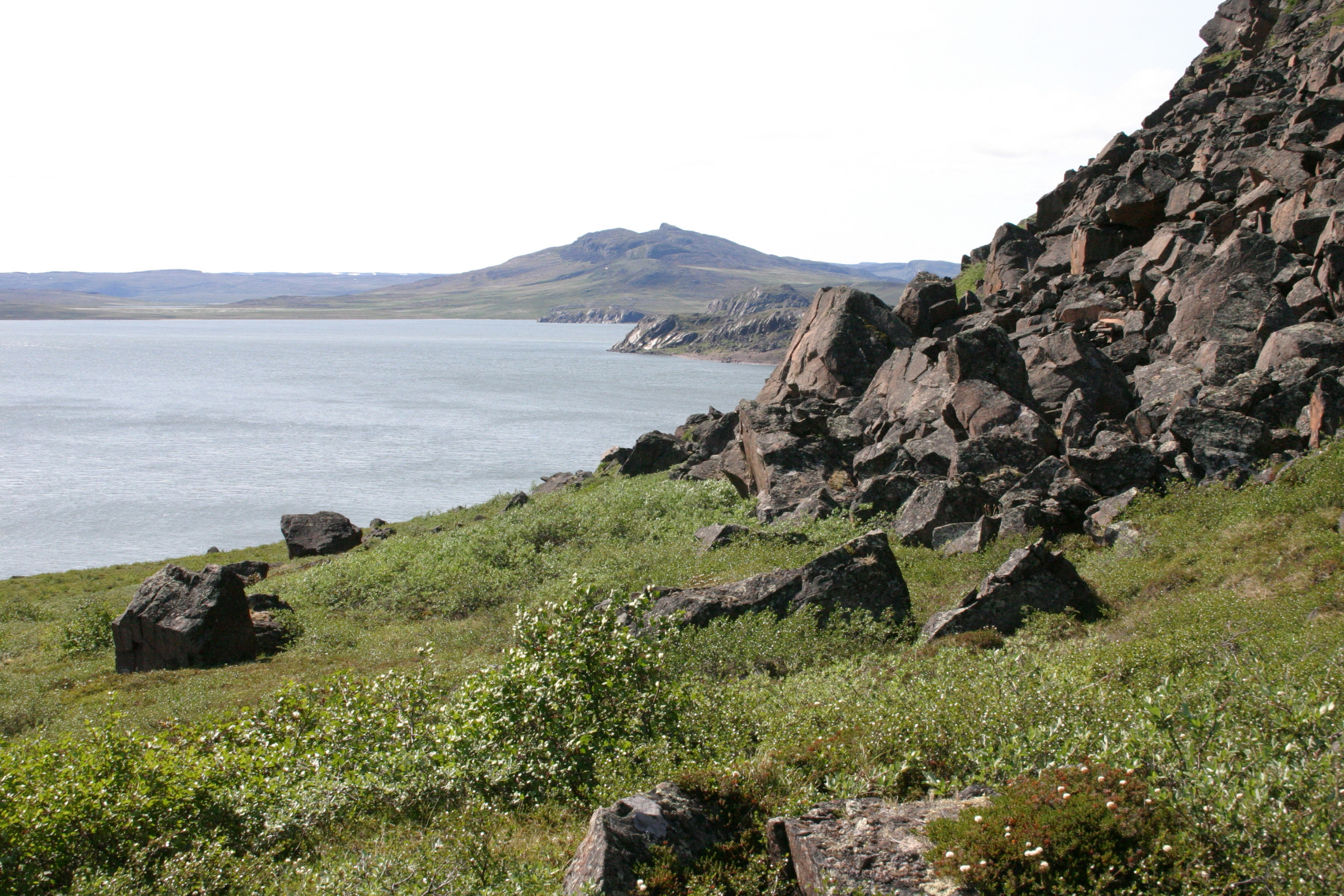 marble island, nunavut (4).webp